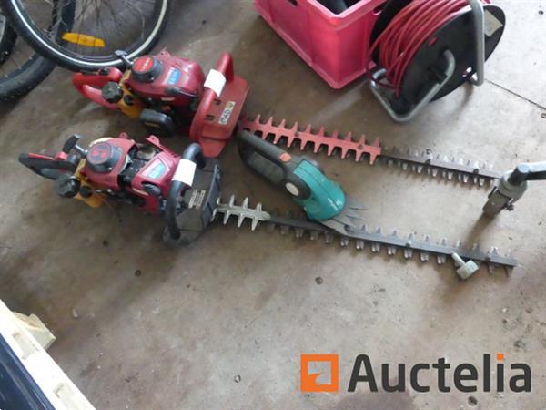 Grote foto 2 heggen knippen tuin en terras overige tuin en terras