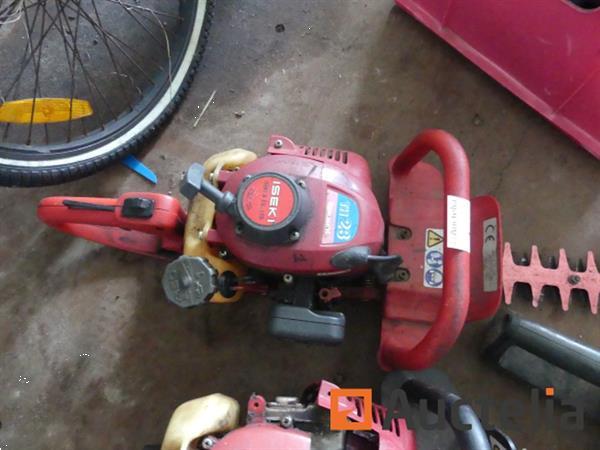 Grote foto 2 heggen knippen tuin en terras overige tuin en terras