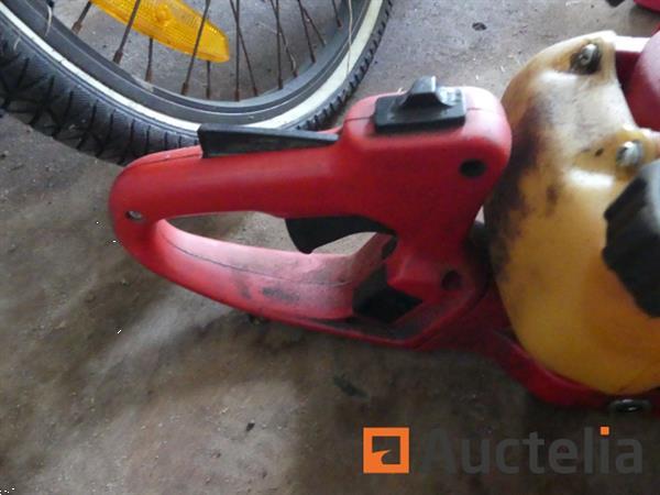 Grote foto 2 heggen knippen tuin en terras overige tuin en terras