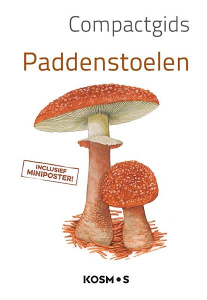 Grote foto compactgids paddenstoelen compactgidsen natuur boeken hobby en vrije tijd