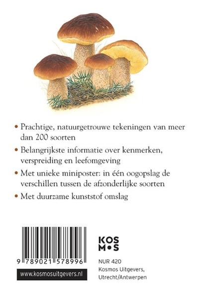 Grote foto compactgids paddenstoelen compactgidsen natuur boeken hobby en vrije tijd