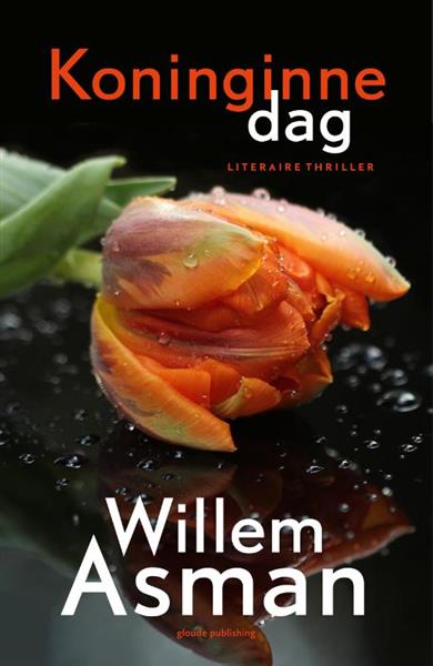 Grote foto koninginnedag boeken thrillers