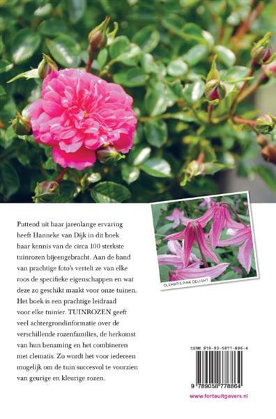 Grote foto tuinrozen boeken hobby en vrije tijd
