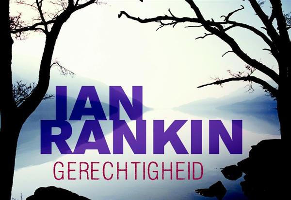 Grote foto gerechtigheid dwarsligger 141 boeken thrillers