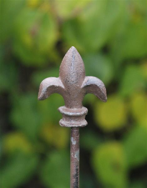 Grote foto plantensteun franse lelie met 2 ogen 125 cm. py25f 7 tuin en terras overige tuin en terras