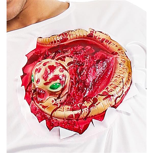 Grote foto t shirt met alien verzamelen overige verzamelingen