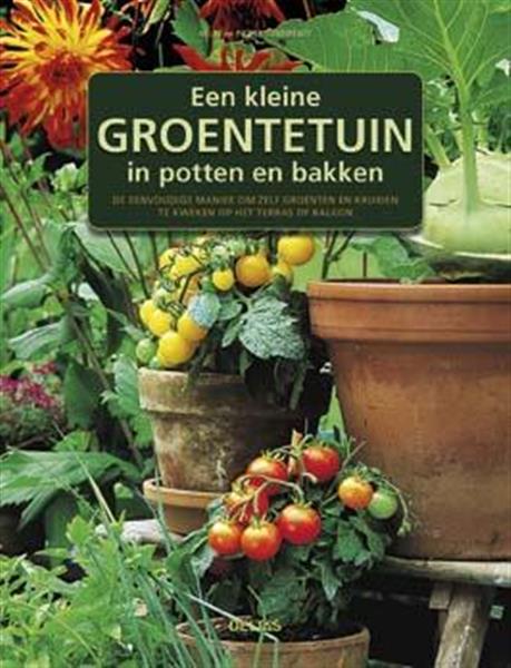 Grote foto een kleine groentetuin in potten en bakken boeken hobby en vrije tijd