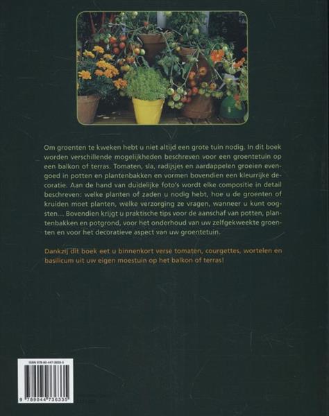 Grote foto een kleine groentetuin in potten en bakken boeken hobby en vrije tijd