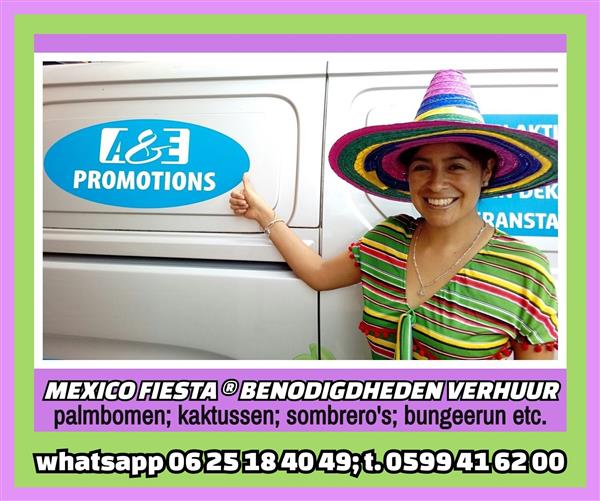 Grote foto huur mexico party items sombrero kaktussen etc. diversen overige diversen