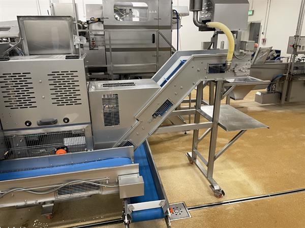 Grote foto abl gtf snijmachine voor ananas meloen en papaja agrarisch tuinbouw