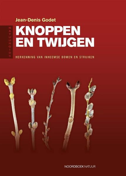 Grote foto natuurgids knoppen en twijgen boeken hobby en vrije tijd