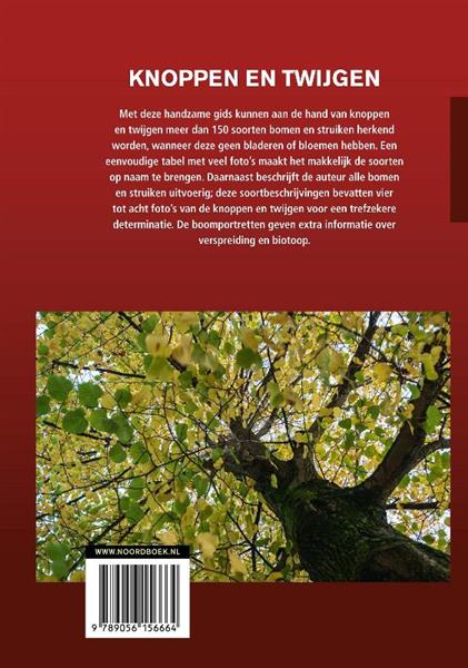 Grote foto natuurgids knoppen en twijgen boeken hobby en vrije tijd