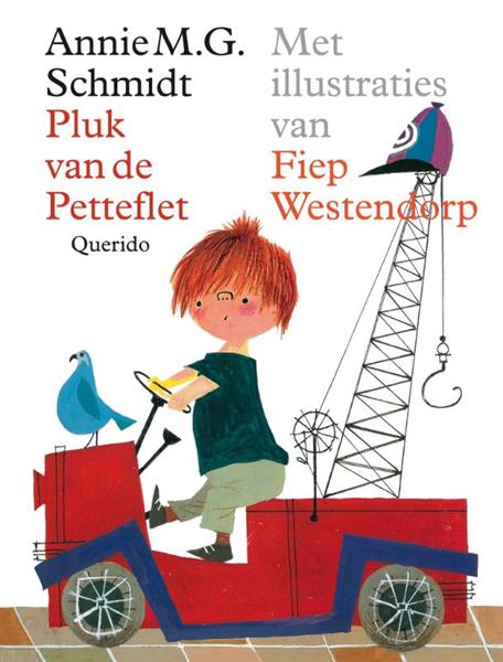 Grote foto pluk van de petteflet boeken jeugd 13 jaar en ouder