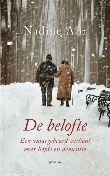 Grote foto de belofte boeken literatuur