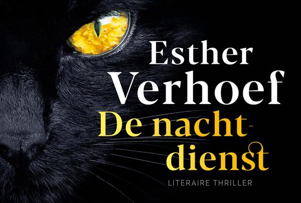 Grote foto de nachtdienst dwarsligger 730 boeken thrillers