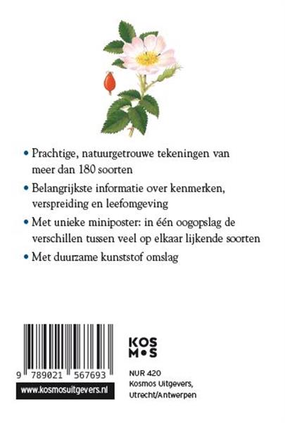 Grote foto bloemen compactgids boeken hobby en vrije tijd