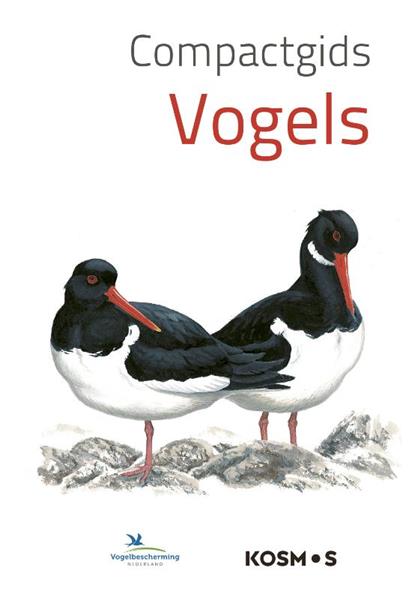 Grote foto compactgids vogels compactgidsen natuur boeken hobby en vrije tijd