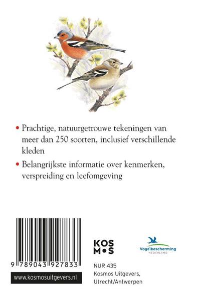 Grote foto compactgids vogels compactgidsen natuur boeken hobby en vrije tijd