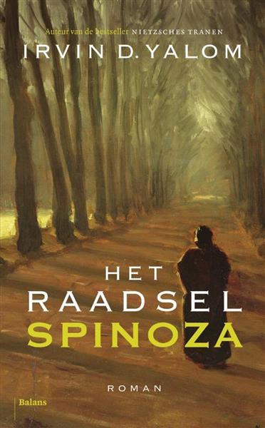 Grote foto het raadsel spinoza boeken overige boeken