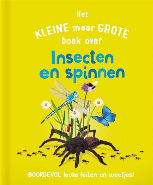 Grote foto het kleine maar grote boek over insecten en spinnen het kleine maar grote boek over ... boeken woordenboeken