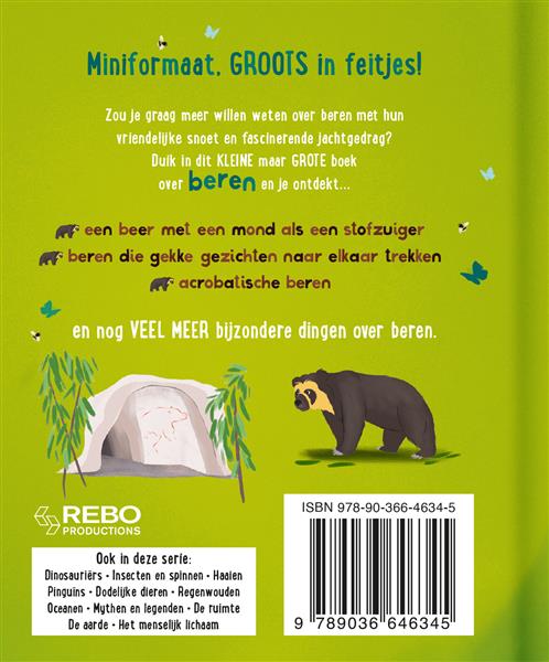 Grote foto het kleine maar grote boek over beren boeken woordenboeken
