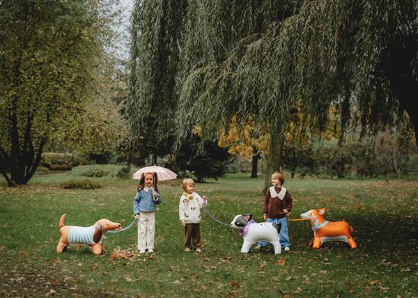 Grote foto folie ballon bulldog 75cm leeg verzamelen overige verzamelingen