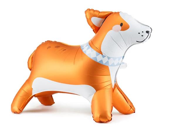 Grote foto folie ballon corgi 88cm leeg verzamelen overige verzamelingen