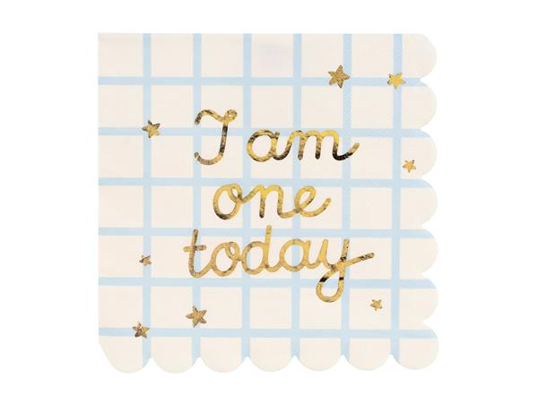 Grote foto servetten i am one today teddy bear beige 33cm verzamelen overige verzamelingen