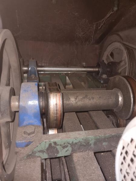 Grote foto compas as120 s4 sorteermachine voor bloembollen en spruiten agrarisch tuinbouw