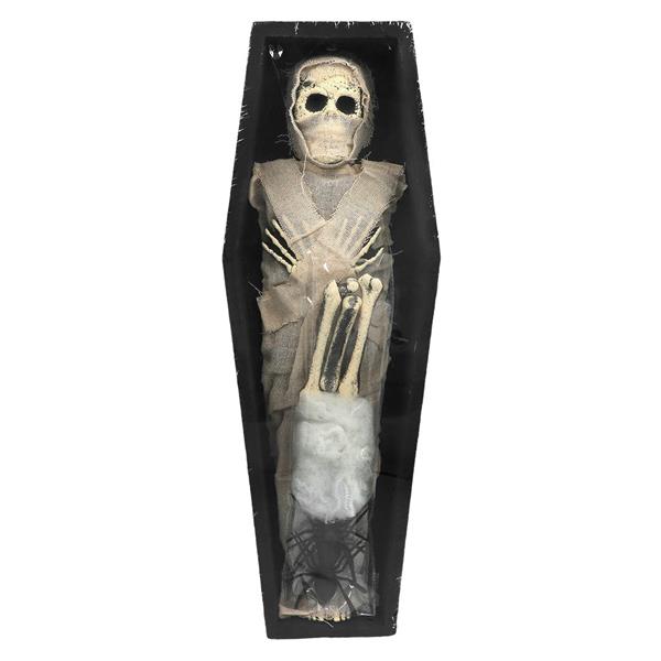 Grote foto mummy decoratieset verzamelen overige verzamelingen