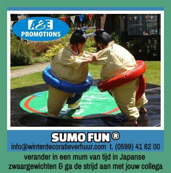 Grote foto top springkussen verhuur groningen t.0599416200 diensten en vakmensen springkussens