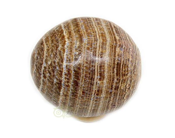 Grote foto aragoniet bol nr 2 151 gram 5 31 cm verzamelen overige verzamelingen