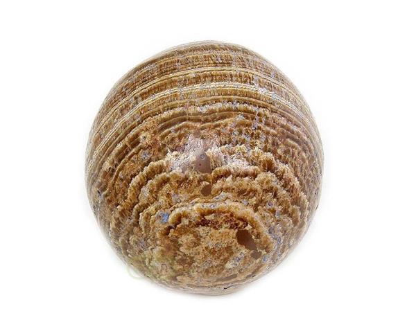 Grote foto aragoniet bol nr 2 151 gram 5 31 cm verzamelen overige verzamelingen