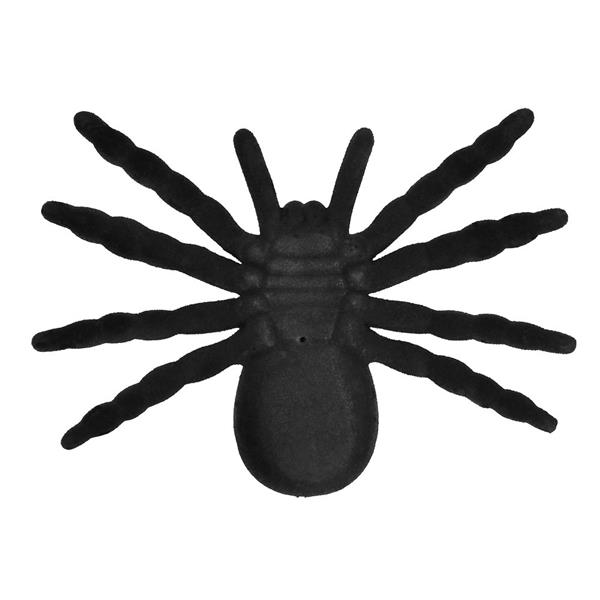 Grote foto spin tarantula verzamelen overige verzamelingen