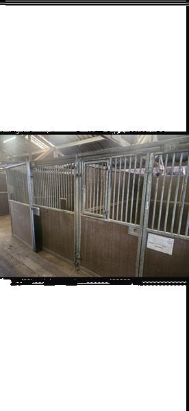 Grote foto paardenboxen 18 stuks buitenhuis agrarisch stallen