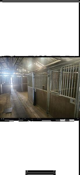 Grote foto paardenboxen 18 stuks buitenhuis agrarisch stallen