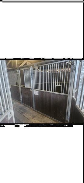 Grote foto paardenboxen 18 stuks buitenhuis agrarisch stallen