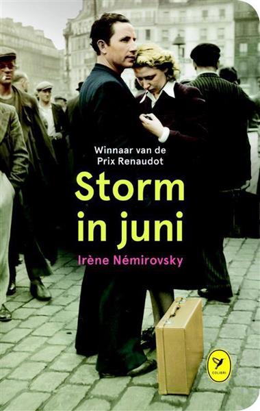 Grote foto storm in juni colibri bibliotheek 15 boeken overige boeken