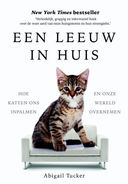Grote foto een leeuw in huis boeken hobby en vrije tijd