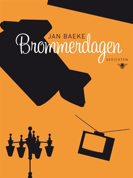 Grote foto brommerdagen boeken overige boeken