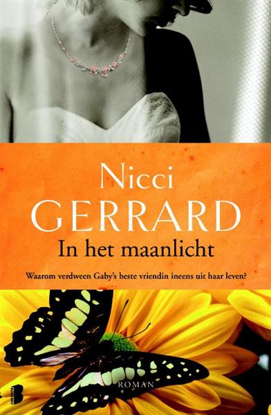 Grote foto in het maanlicht boeken overige boeken