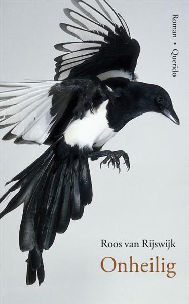 Grote foto onheilig boeken overige boeken