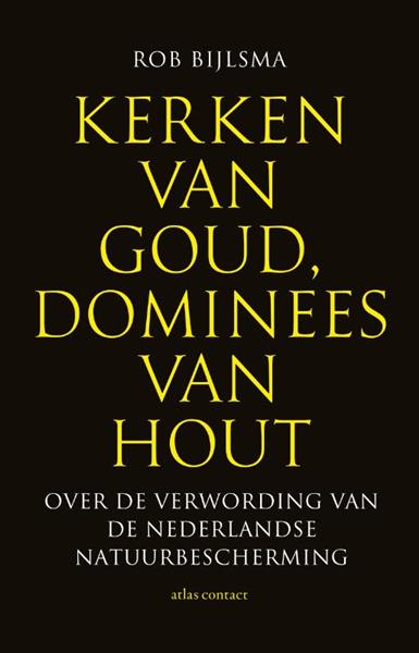 Grote foto kerken van goud dominees van hout boeken hobby en vrije tijd