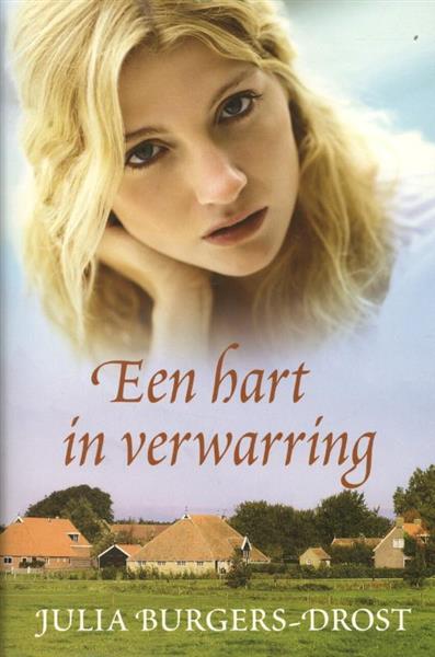Grote foto een hart in verwarring spiegelserie boeken overige boeken