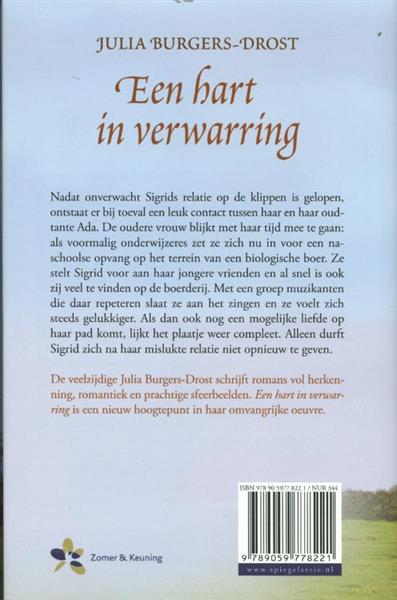 Grote foto een hart in verwarring spiegelserie boeken overige boeken