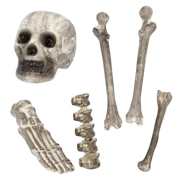 Grote foto halloween skelet 6st verzamelen overige verzamelingen