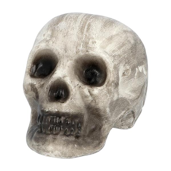 Grote foto halloween skelet 6st verzamelen overige verzamelingen