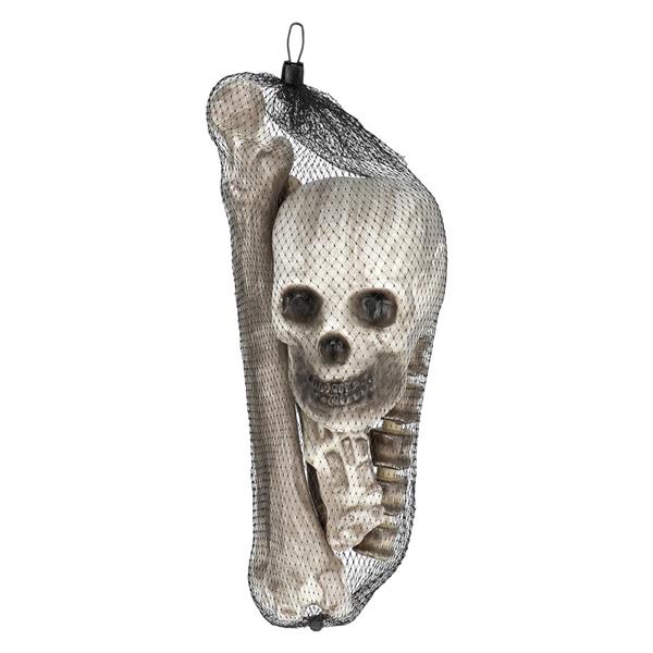 Grote foto halloween skelet 6st verzamelen overige verzamelingen