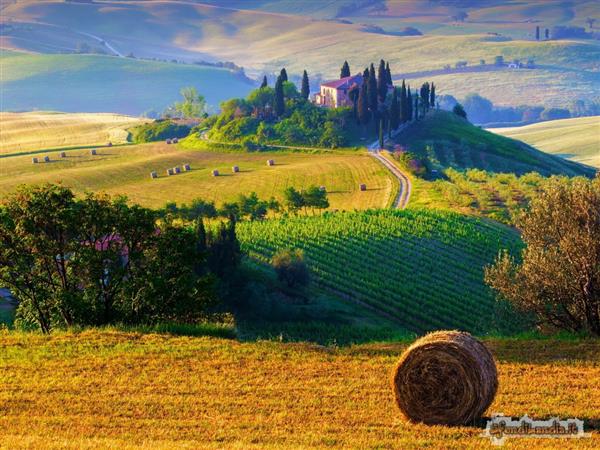 Grote foto kom italiaans leren diensten en vakmensen cursussen en workshops