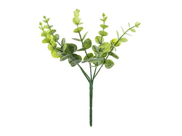 Grote foto small bouquet of branches eucalyptus 27 cm verzamelen overige verzamelingen